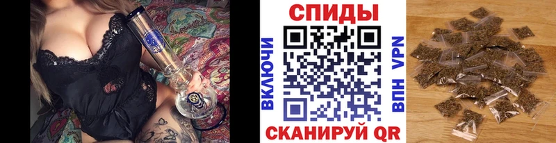 Купить закладки Плёс БУТИРАТ 1.4BDO