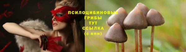 mdpv Гусь-Хрустальный